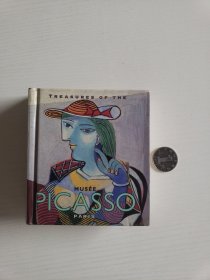 picasso(小开本）