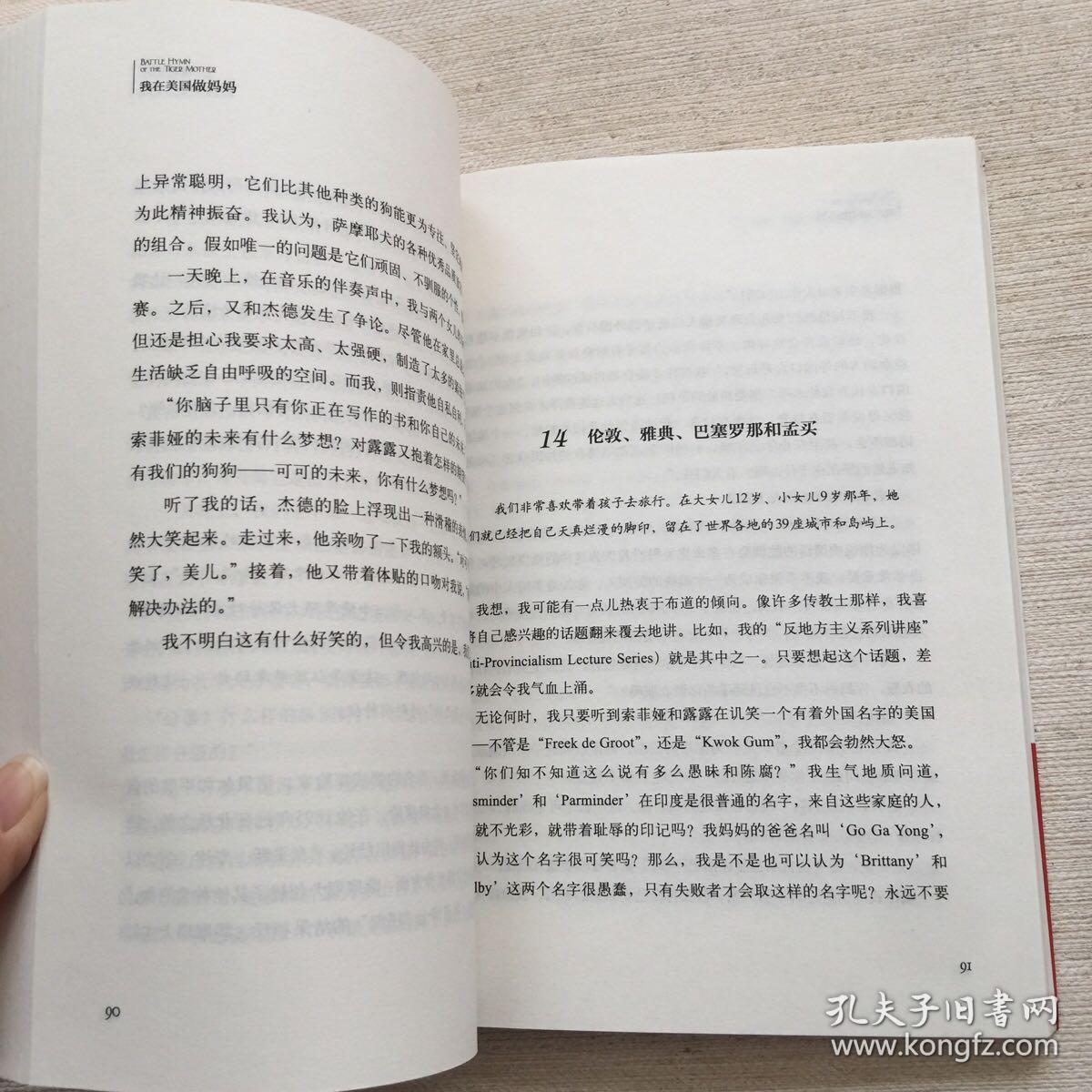 我在美国做妈妈：耶鲁法学院教授的育儿经.