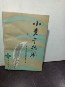 小麦干热风