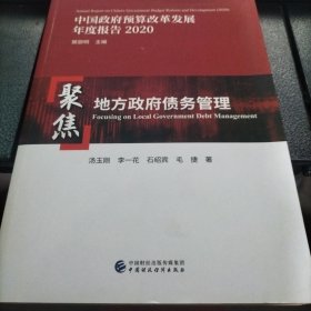 中国政府预算改革发展年度报告2020：聚焦地方政府债务管理