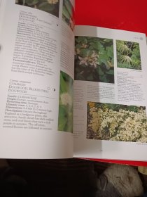 ENCYCLOPEDIA OF FLOWERS 植物百科鲜花，超过1000种