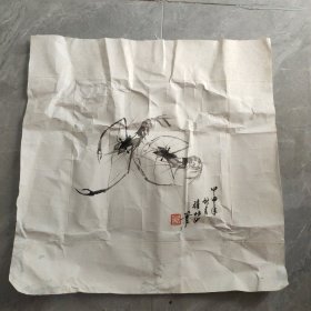 赵林池 虾
