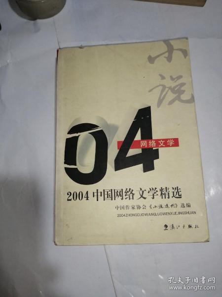 2004年中国网络文学精选