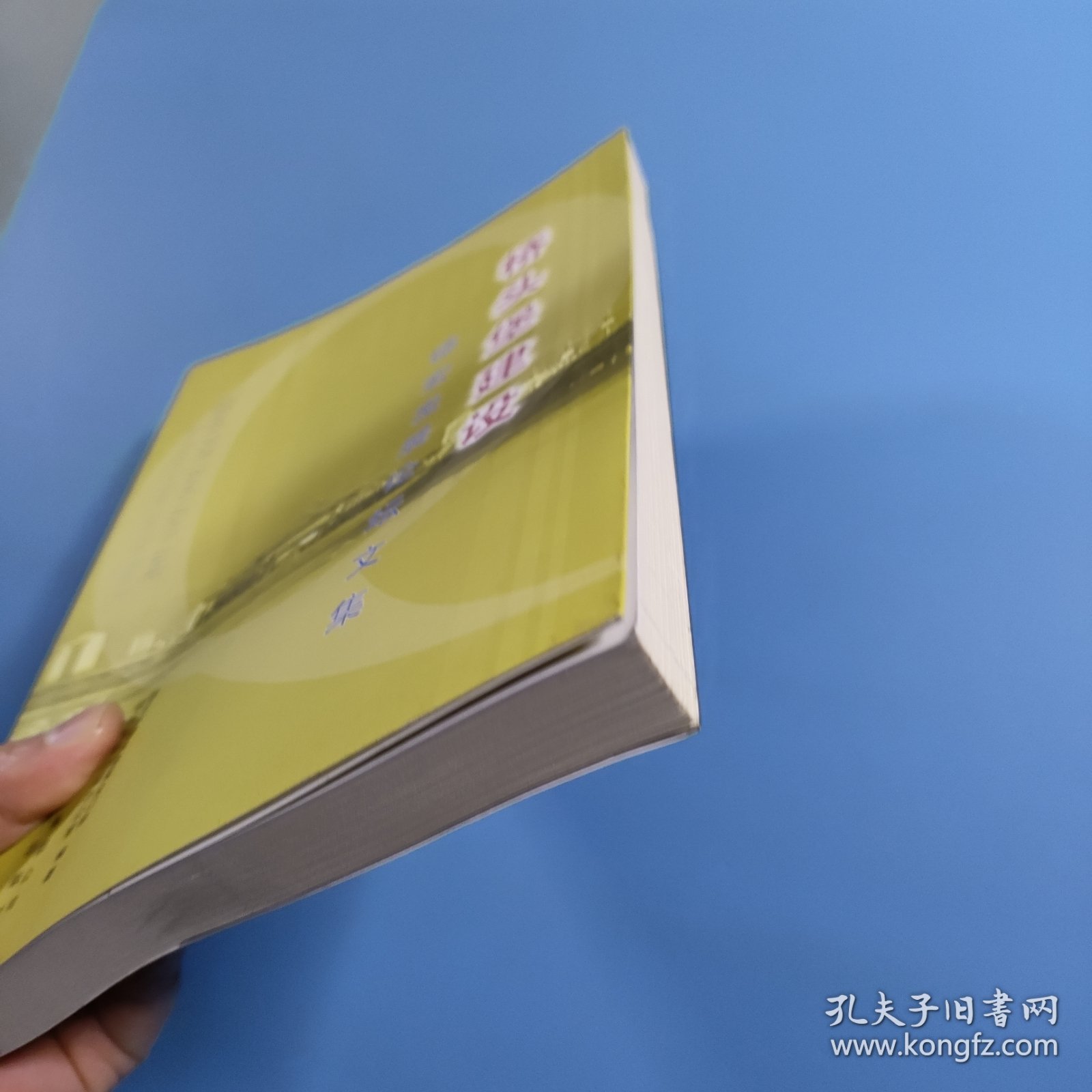 桥头堡建设:德宏发展论坛文集