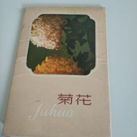 明信片1964年。  菊花。九枚