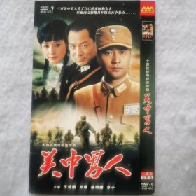 DVD 大型电视剧：关中男人（2碟装）