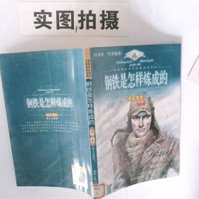 正版图书钢铁是怎样炼成的郑世明吉林人民出版社