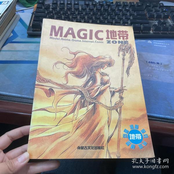 MAGIC地带：《电子游戏软件》杂志特刊