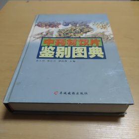 中药材饮片鉴别图典