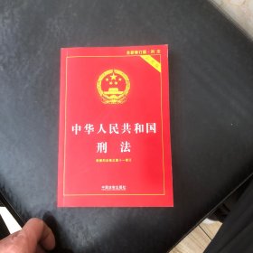 中华人民共和国刑法（实用版）（根据刑法修正案十一修订）