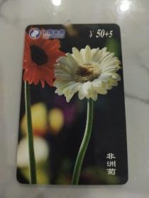 电话卡 非洲菊