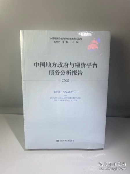 中国地方政府与融资平台债务分析报告（2021）