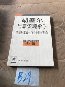 胡塞尔与意识现象学