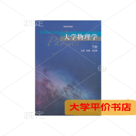 大学物理学（第二版）下册 正版二手书