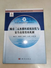 城市二元水循环系统演化与安全高效用水机制 精装 一版一印