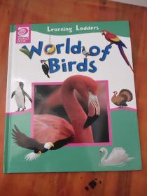 Learning Ladders World of Birds