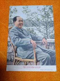 中国人民的伟大领袖毛主席画片