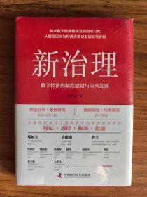 新治理：数字经济的制度建设与未来发展