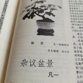 苏州杂志1996年第六期