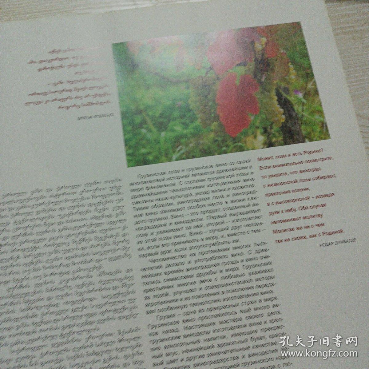 САКАРТBЕЛO КОЛЫБЕЛЬ ВИНА萨卡特贝洛葡萄酒的摇篮