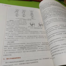 中西医结合骨伤科学——十三五规划 如图现货速发