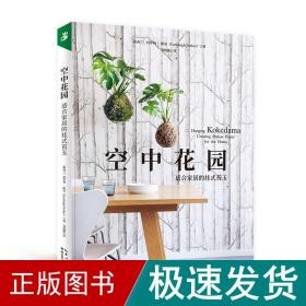 空中花园：适合家居的挂式苔玉