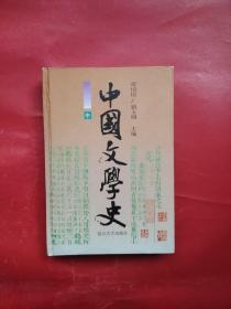 中国文学史 中（精装） 复旦大学出版社