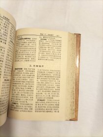 中国历史文化名城词典