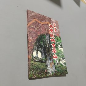 历览西双版纳古茶山