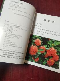 青年风景园林师植物应用图鉴：花木类