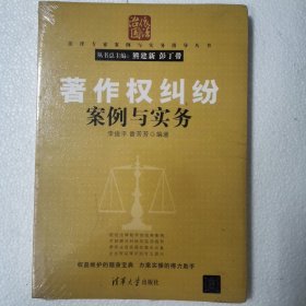 著作权纠纷案例与实务（法律专家案例与实务指导丛书）