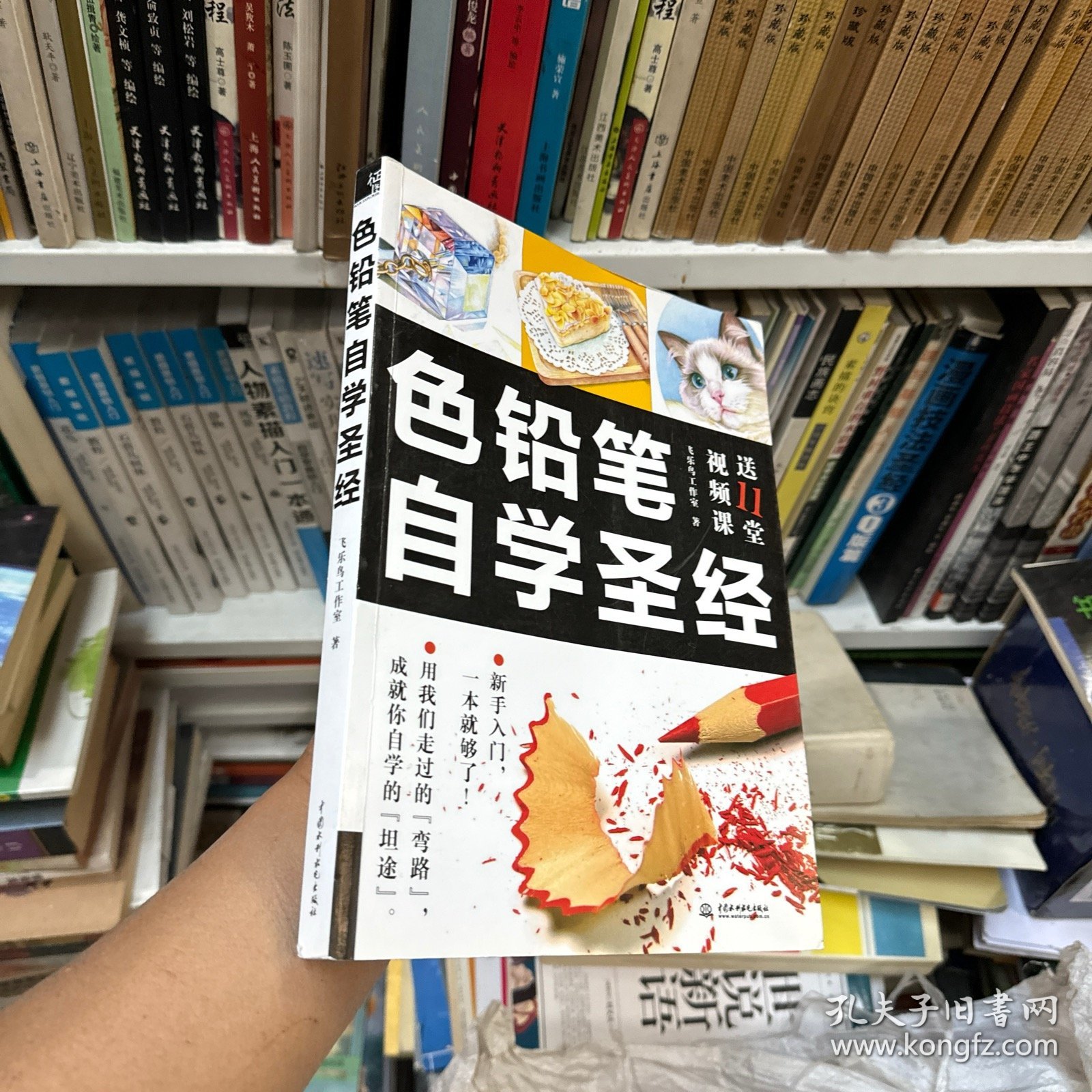 色铅笔自学圣经