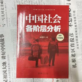 中国社会各阶层分析