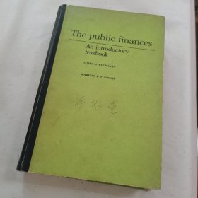 the public finances（公共财政）