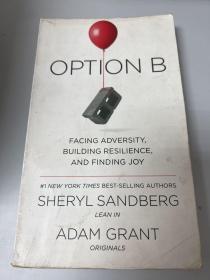 OPTION B FACING ADVERSITY, BUILDING RESILIENCE AND FINDING JOY