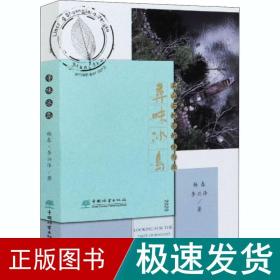 寻味冰岛(名山古树茶的味与源2020)