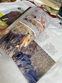 《我们爱科学》精品科普书系——东非草原野生动物大追踪上下册