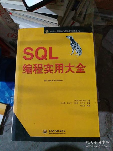 SQL编程实用大全