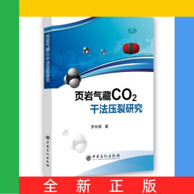 頁巖氣藏CO2干法壓裂研究