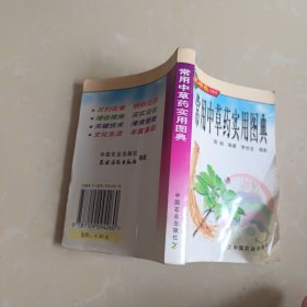 常用中草药实用图典——农民增收口袋书