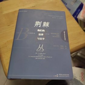 全新未使用 麦读译从荆棘丛：我们的法律与法学卡尔·卢埃林 精装（一版一印）