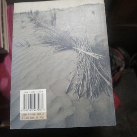 风过达坂城——小城故事