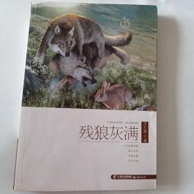 盛世中国原创儿童文学大系：残狼灰满