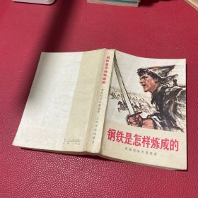 钢铁是怎样炼成》