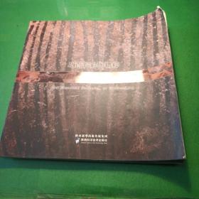 北首嶺彩陶精粹
