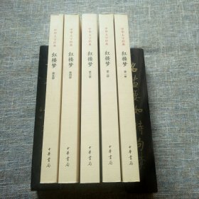 中华大字经典：红楼梦（套装全5册）
