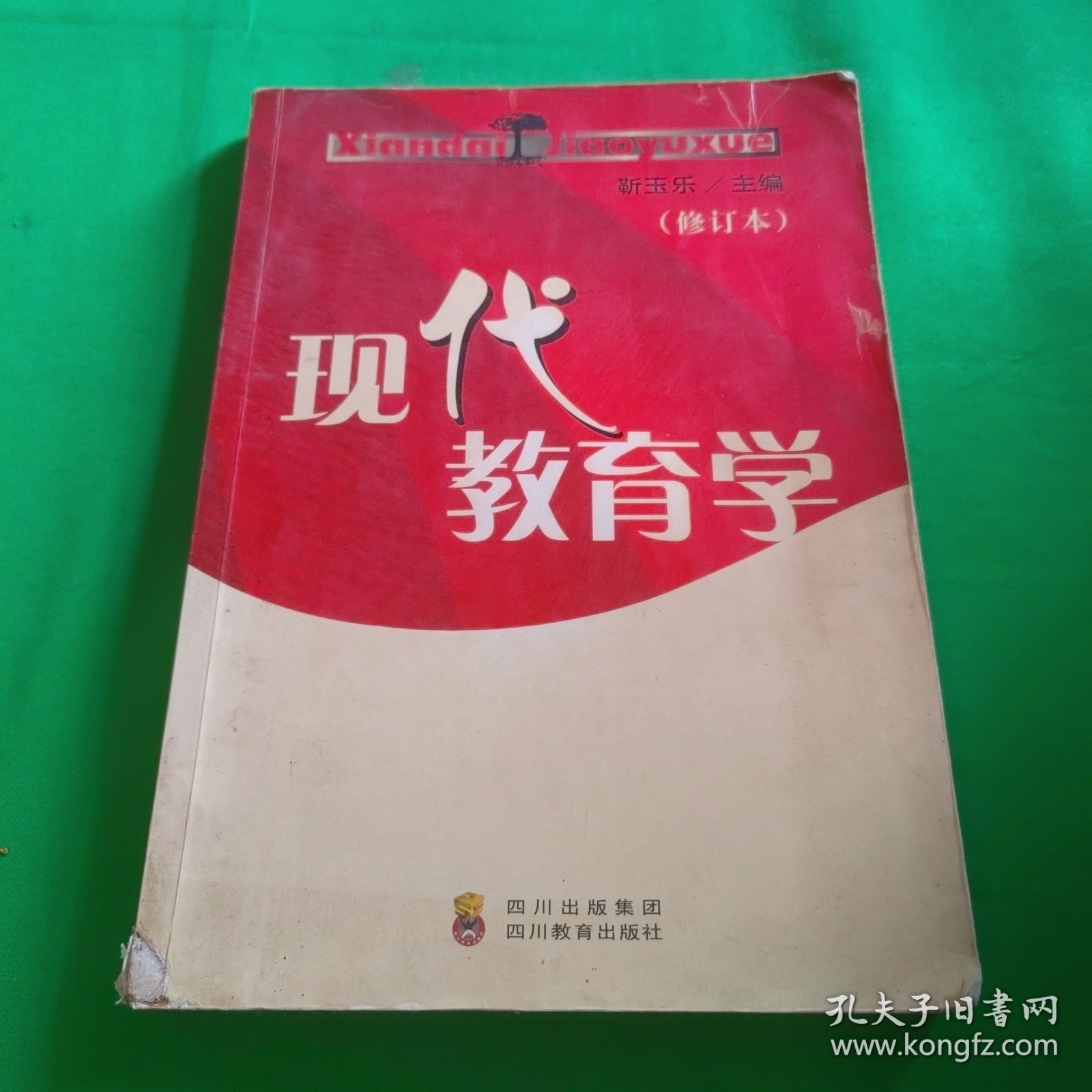 现代教育学:2008年修订本