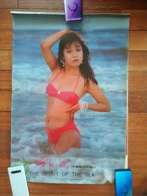 挂历1991年海之魂（全13张美女泳装照)(只能发快递)