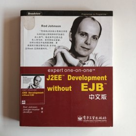 expert one-on-one J2EE Development without EJB 中文版