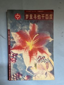 于晴言情作品集：梦里寻他千百度